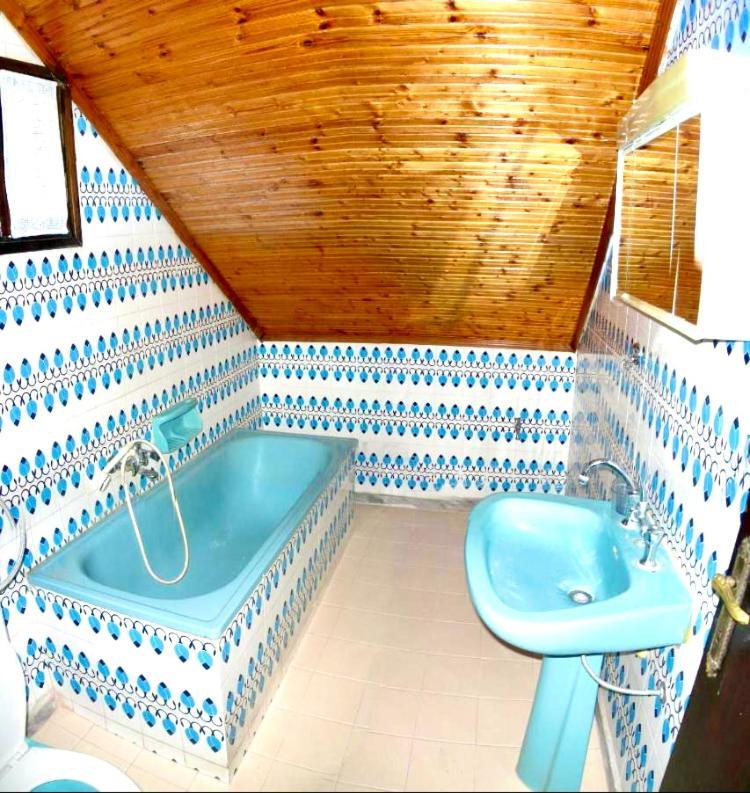 Apartment Magda